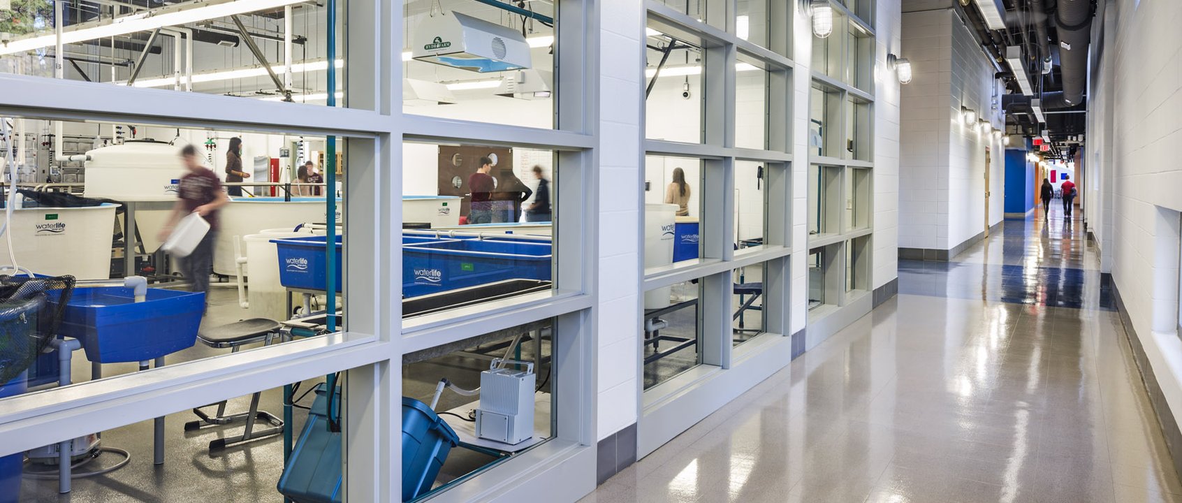 MarineMagnet_10_int corridor.jpg