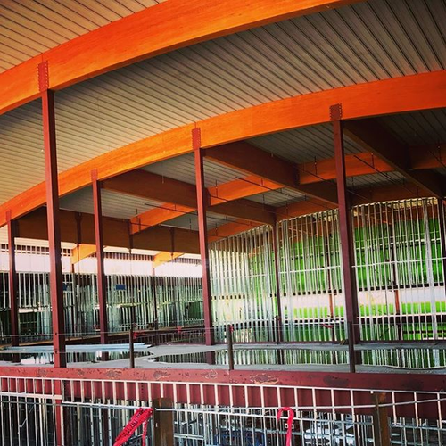 instagram_1505174628305155387_1687731939